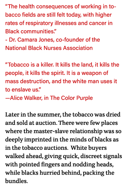  The health consequences of working in tobacco fields are still felt today, with higher rates of respiratory illnesse   