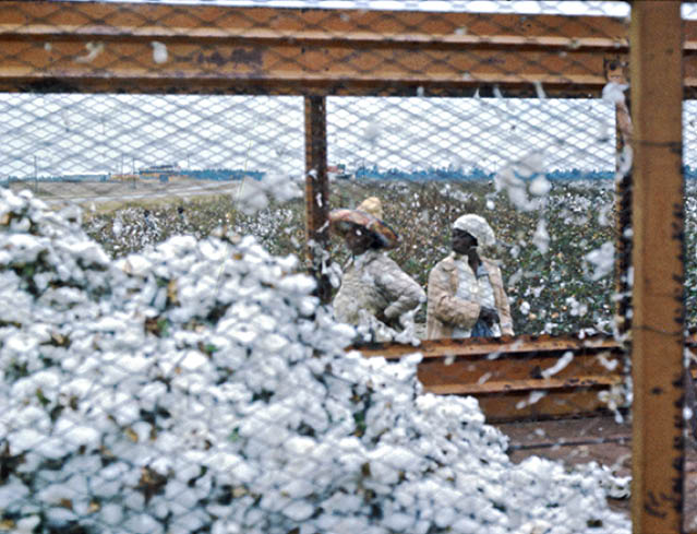 1973 - Allendale County, SC