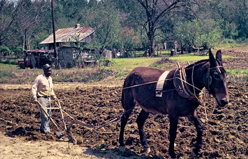 1973 - Yazoo City, MS
