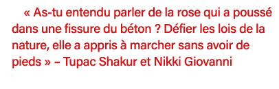   As-tu entendu parler de la rose qui a poussé dans une fissure du béton   Défier les lois de la nature, elle a appri   