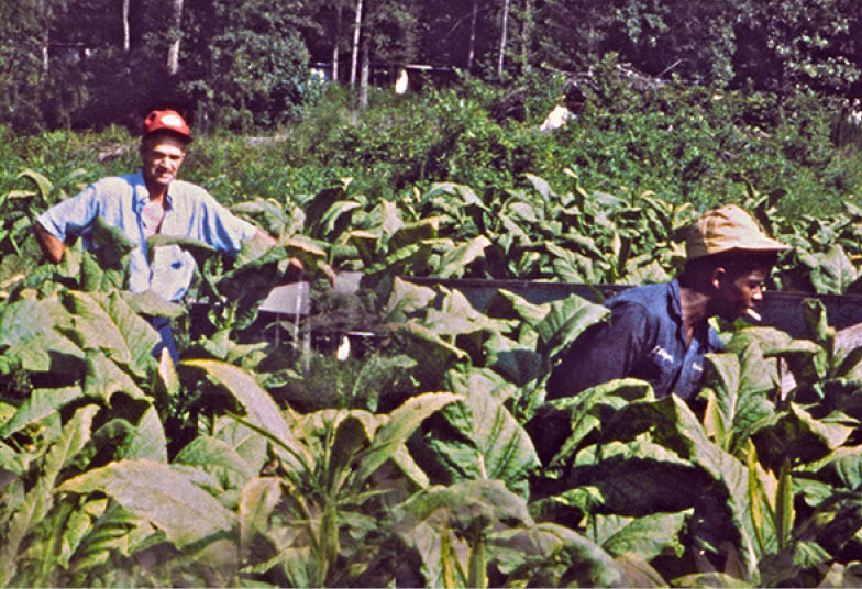 1974 - rural Bethel, NC 