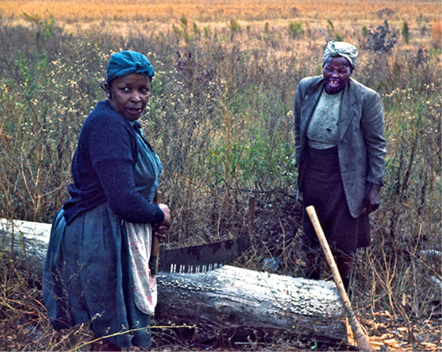 1973 - Orangeburg County, SC 