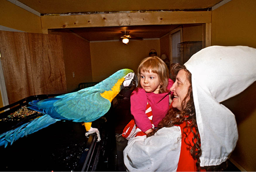 The parrots talking foul language of hate