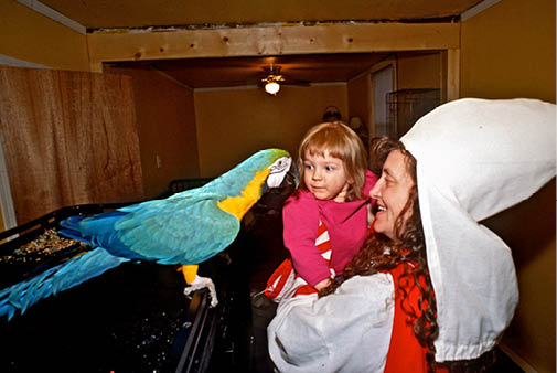 The parrots talking foul language of hate