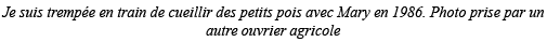 Je suis trempée en train de cueillir des petits pois avec Mary en 1986  Photo prise par un autre ouvrier agricole 