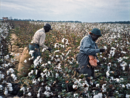 1973 - Allendale County, SC 