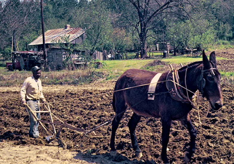 1973 - Yazoo City, MS