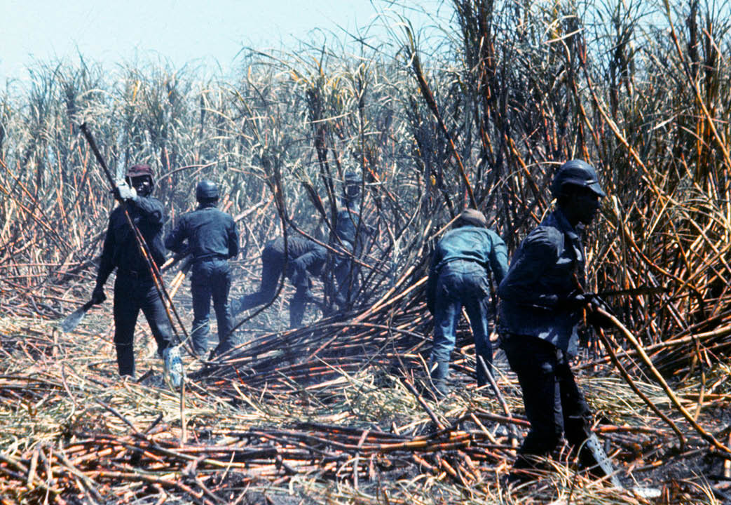 1974 - Palm Beach County, FL 