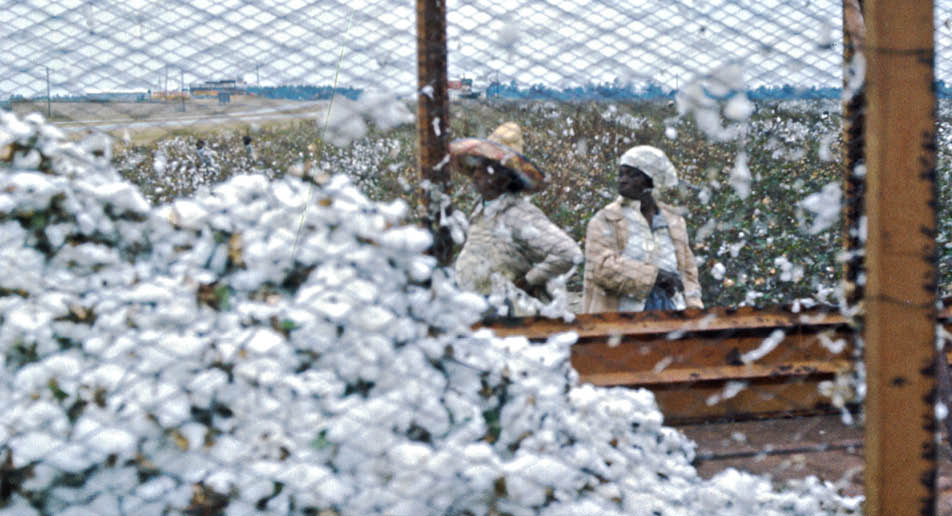 1973 - Allendale County, SC