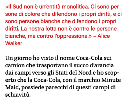  Il Sud non è un entità monolitica  Ci sono persone di colore che difendono i propri diritti, e ci sono persone bianc   