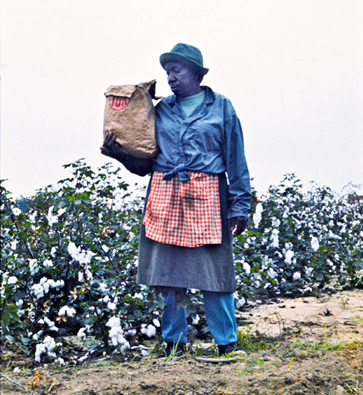 1973 - Allendale County, SC