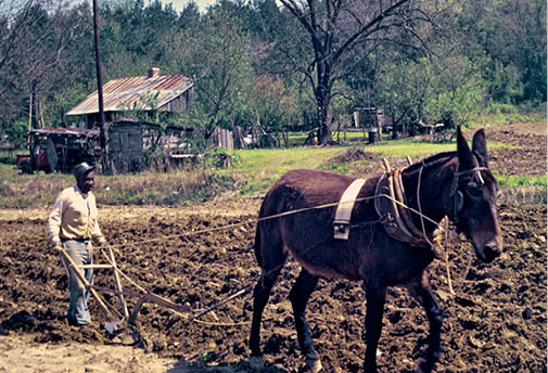 1973 - Yazoo City, MS