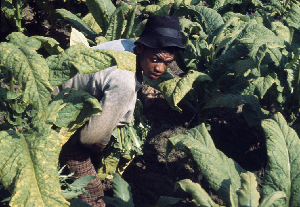 1974 - rural Bethel, NC
