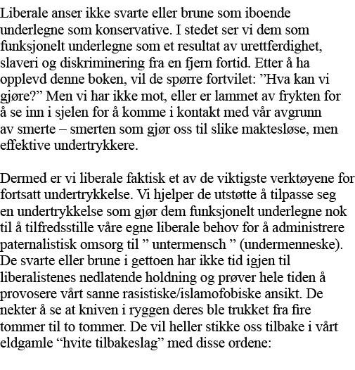 Liberale anser ikke svarte eller brune som iboende underlegne som konservative  I stedet ser vi dem som funksjonelt u   