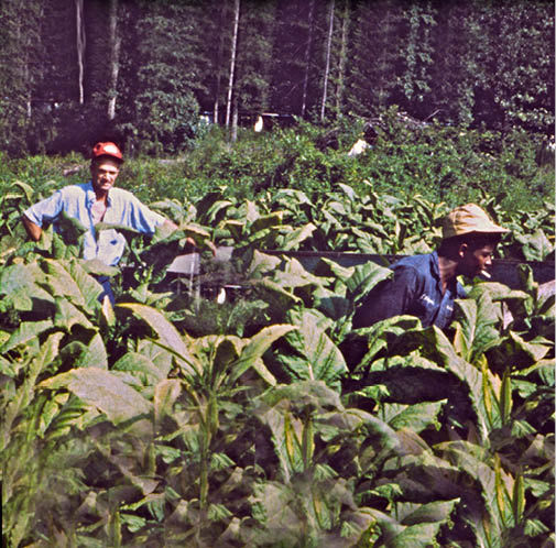 1974 - rural Bethel, NC 