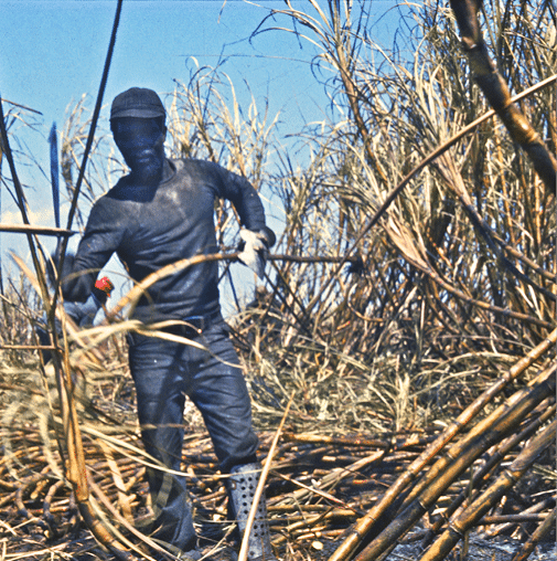 1974 - rural Palm Beach County, FL