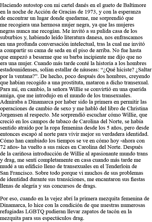 Haciendo autostop con mi cartel danés en el gueto de Baltimore en la noche de Acción de Gracias de 1973, y con la esp   