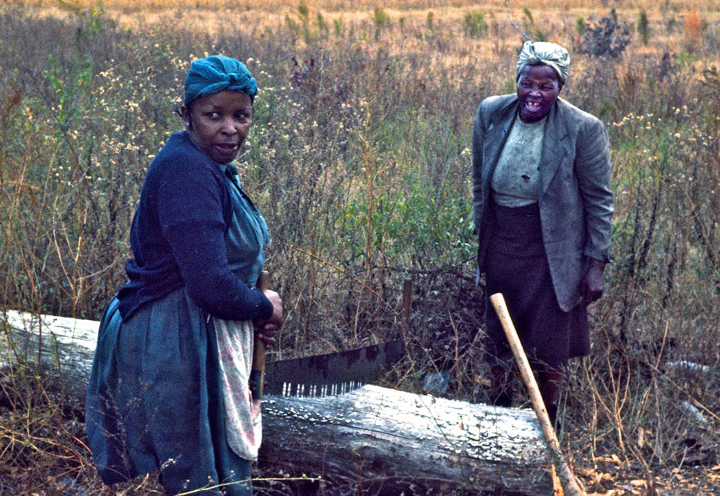 1973 - Orangeburg County, SC 