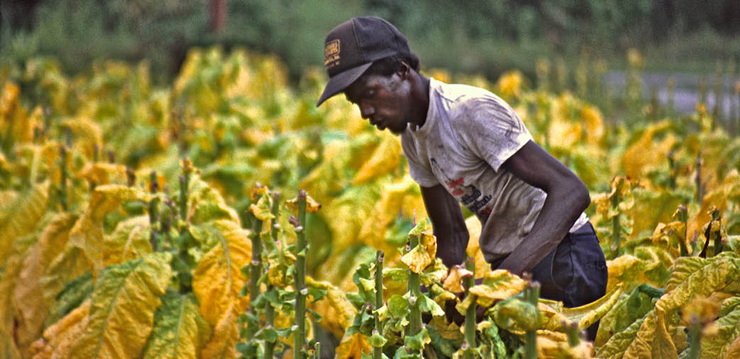 1988 - rural Bethel, NC 