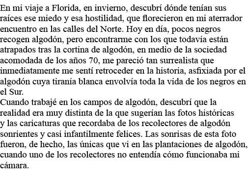 En mi viaje a Florida, en invierno, descubrí dónde tenían sus raíces ese miedo y esa hostilidad, que florecieron en m   