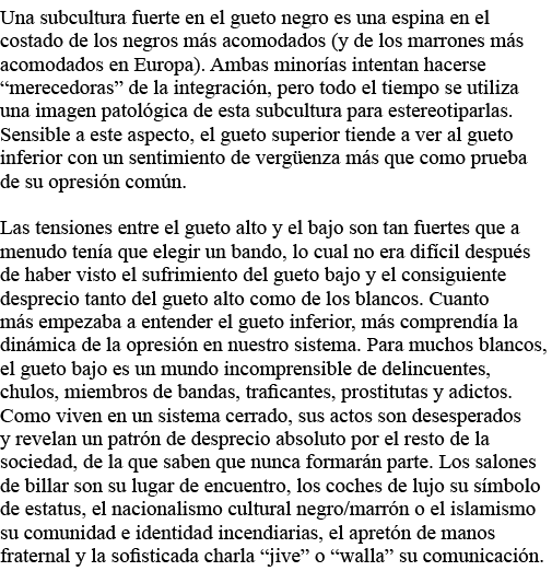 Una subcultura fuerte en el gueto negro es una espina en el costado de los negros más acomodados (y de los marrones m   