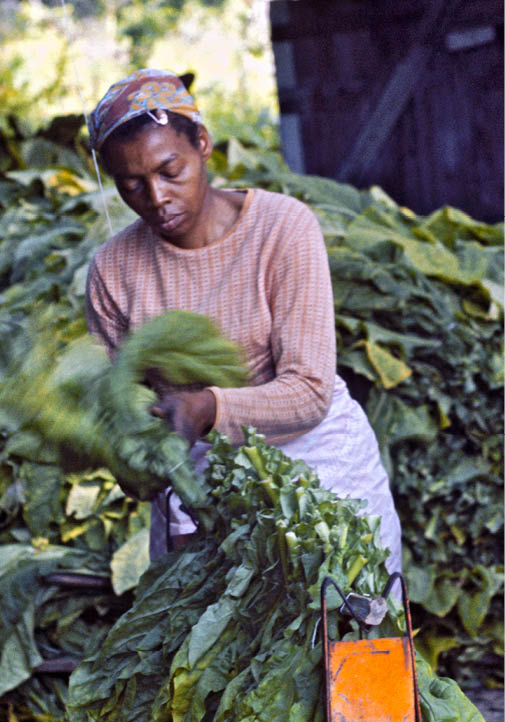 1974 - rural Bethel, NC