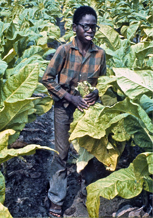 1974 - rural Greenville, NC