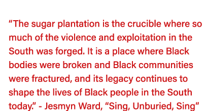   The sugar plantation is the crucible where so much of the violence and exploitation in the South was forged  It is    
