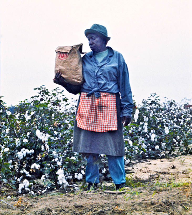 1973 - Allendale County, SC