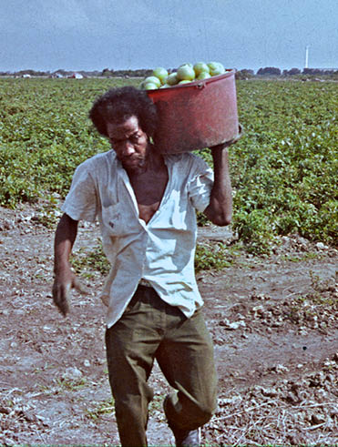 1974 - Hwy 29, FL