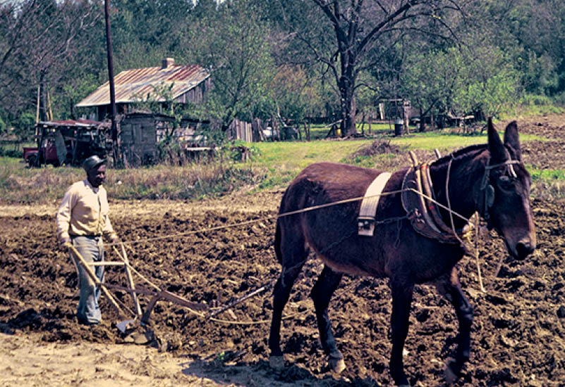 1973 - Yazoo City, MS