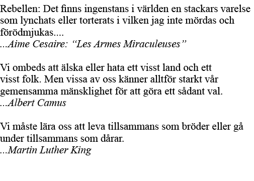 Rebellen: Det finns ingenstans i världen en stackars varelse som lynchats eller torterats i vilken jag inte mördas oc   
