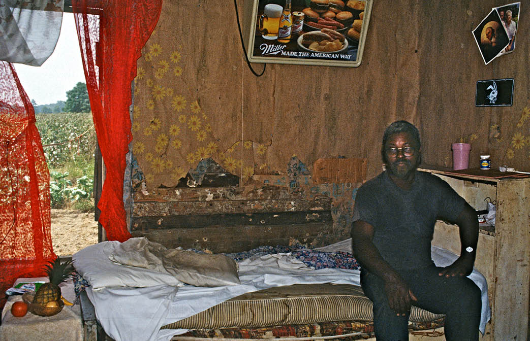 1996 - cotton picker in rural Selma, AL 