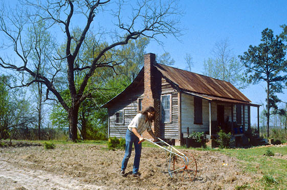  Two acres and a (Danish) mule  in 1984