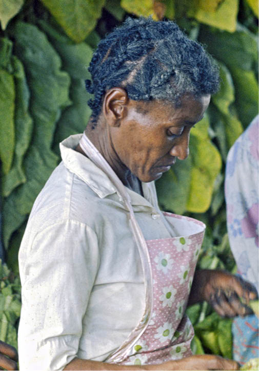 1974 - rural Bethel, NC