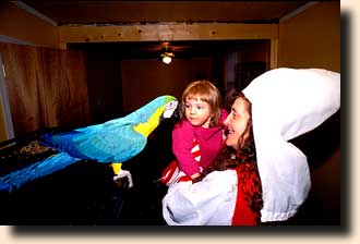 Pam with the granchild and the parrots