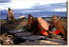 Aymara fiskekoner sorterer nattens fangst tidligt om morgenen ved Titicacasøen 